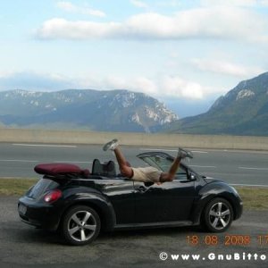 Le vacanze dei Gnubitters!