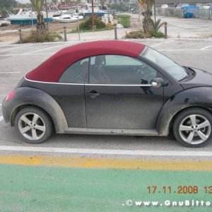 Le vacanze dei Gnubitters!