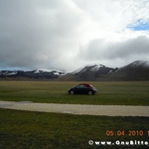 Le vacanze dei Gnubitters!