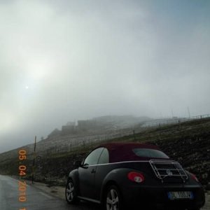 Le vacanze dei Gnubitters!