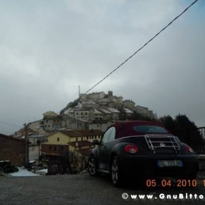 Le vacanze dei Gnubitters!