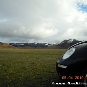 Le vacanze dei Gnubitters!