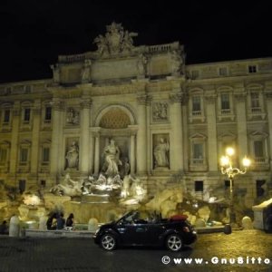 Le vacanze dei Gnubitters!