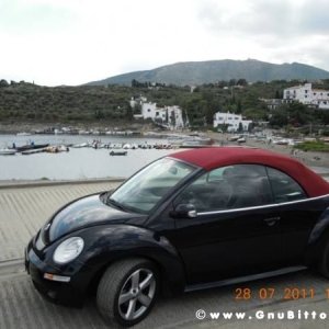 Le vacanze dei Gnubitters!