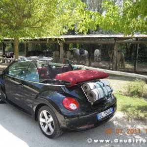 Le vacanze dei Gnubitters!