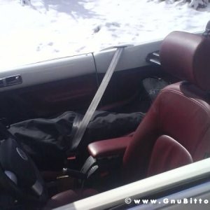 Le vacanze dei Gnubitters!