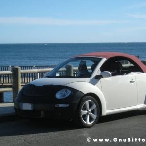 Le vacanze dei Gnubitters!