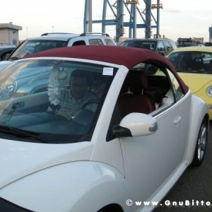 Le vacanze dei Gnubitters!