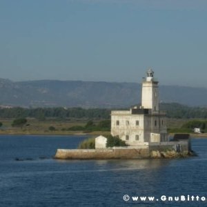 Le vacanze dei Gnubitters!