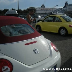 Le vacanze dei Gnubitters!