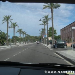 Le vacanze dei Gnubitters!