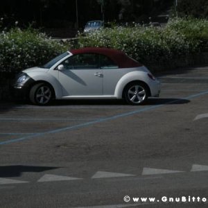 Le vacanze dei Gnubitters!