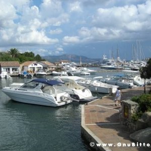 Le vacanze dei Gnubitters!