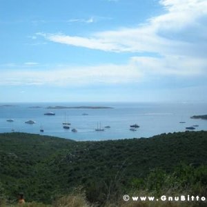 Le vacanze dei Gnubitters!