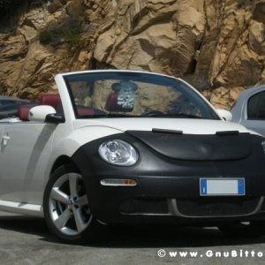 Le vacanze dei Gnubitters!