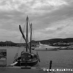 Le vacanze dei Gnubitters!