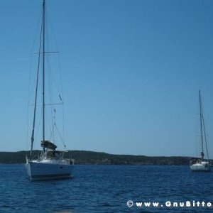 Le vacanze dei Gnubitters!