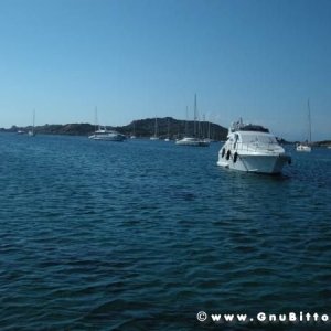 Le vacanze dei Gnubitters!