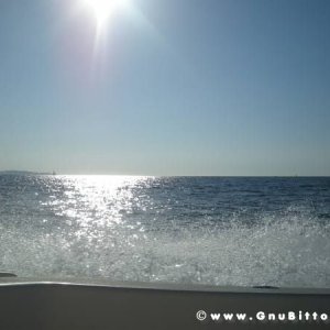 Le vacanze dei Gnubitters!