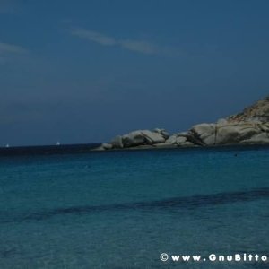 Le vacanze dei Gnubitters!