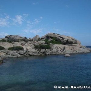 Le vacanze dei Gnubitters!