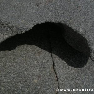 Le vacanze dei Gnubitters!