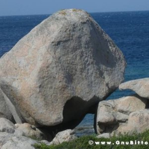 Le vacanze dei Gnubitters!