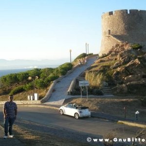 Le vacanze dei Gnubitters!