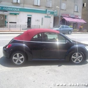 Le vacanze dei Gnubitters!