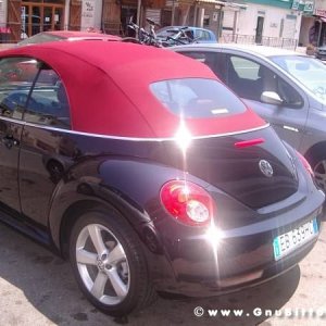 Le vacanze dei Gnubitters!