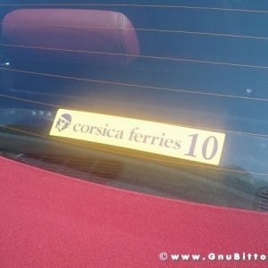 Le vacanze dei Gnubitters!