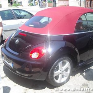 Le vacanze dei Gnubitters!