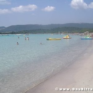 Le vacanze dei Gnubitters!