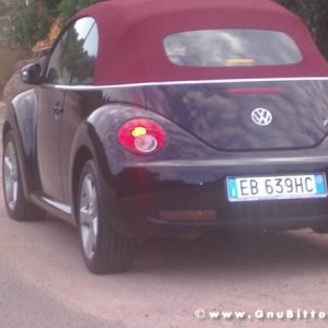 Le vacanze dei Gnubitters!