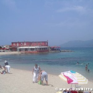 Le vacanze dei Gnubitters!