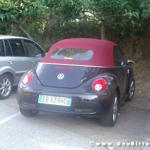 Le vacanze dei Gnubitters!