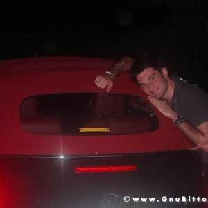 Le vacanze dei Gnubitters!