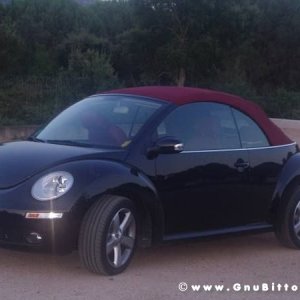 Le vacanze dei Gnubitters!