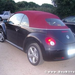 Le vacanze dei Gnubitters!