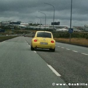 Le vacanze dei Gnubitters!