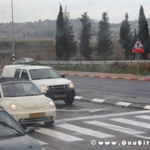 Le vacanze dei Gnubitters!