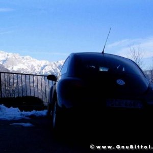 Le vacanze dei Gnubitters!