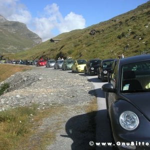 Le vacanze dei Gnubitters!