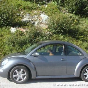 Le vacanze dei Gnubitters!