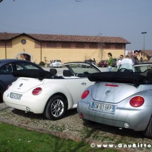 26-03-2006 - SprinGnuBittol 2006