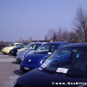 26-03-2006 - SprinGnuBittol 2006