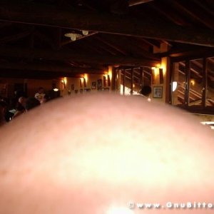 26-03-2006 - SprinGnuBittol 2006