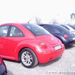 26-03-2006 - SprinGnuBittol 2006