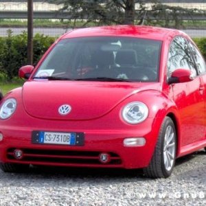 26-03-2006 - SprinGnuBittol 2006