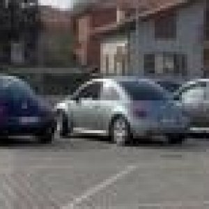 26-03-2006 - SprinGnuBittol 2006